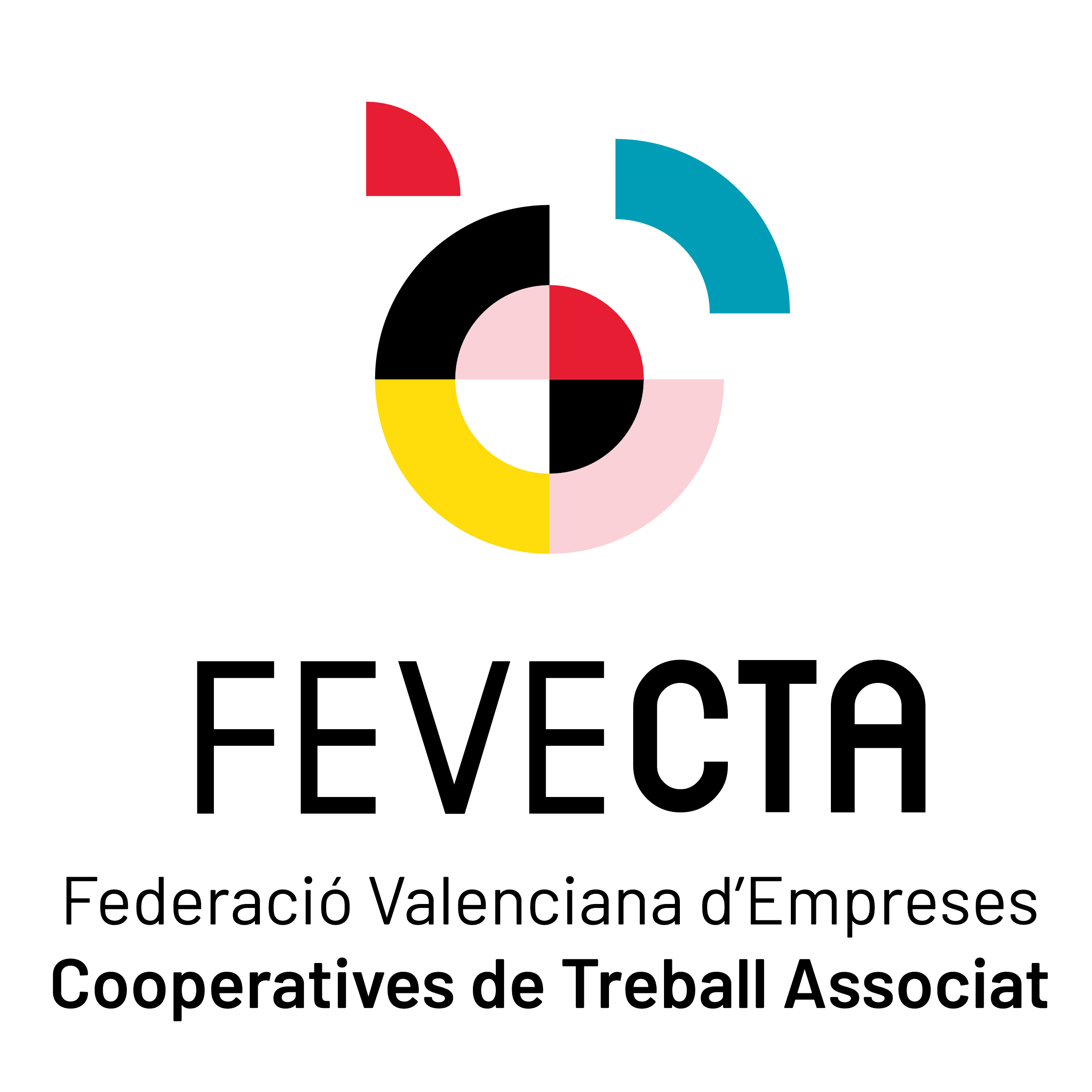 Federación Valenciana de Empresas Cooperativas de Trabajo Asociado (FEVECTA)