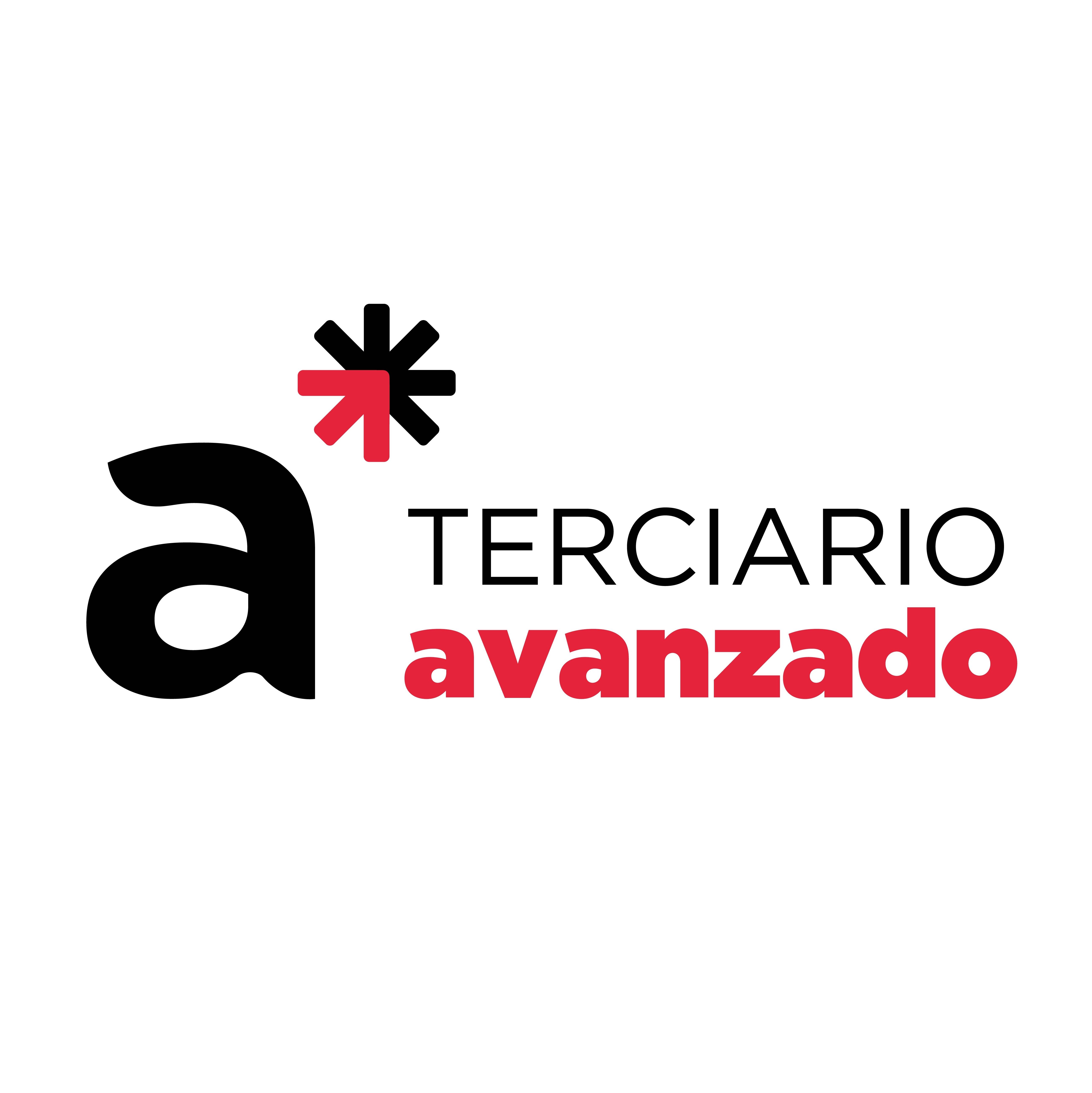 Asociación de empresas del Terciario Avanzado de la Provincia de Alicante - Terciario Avanzado